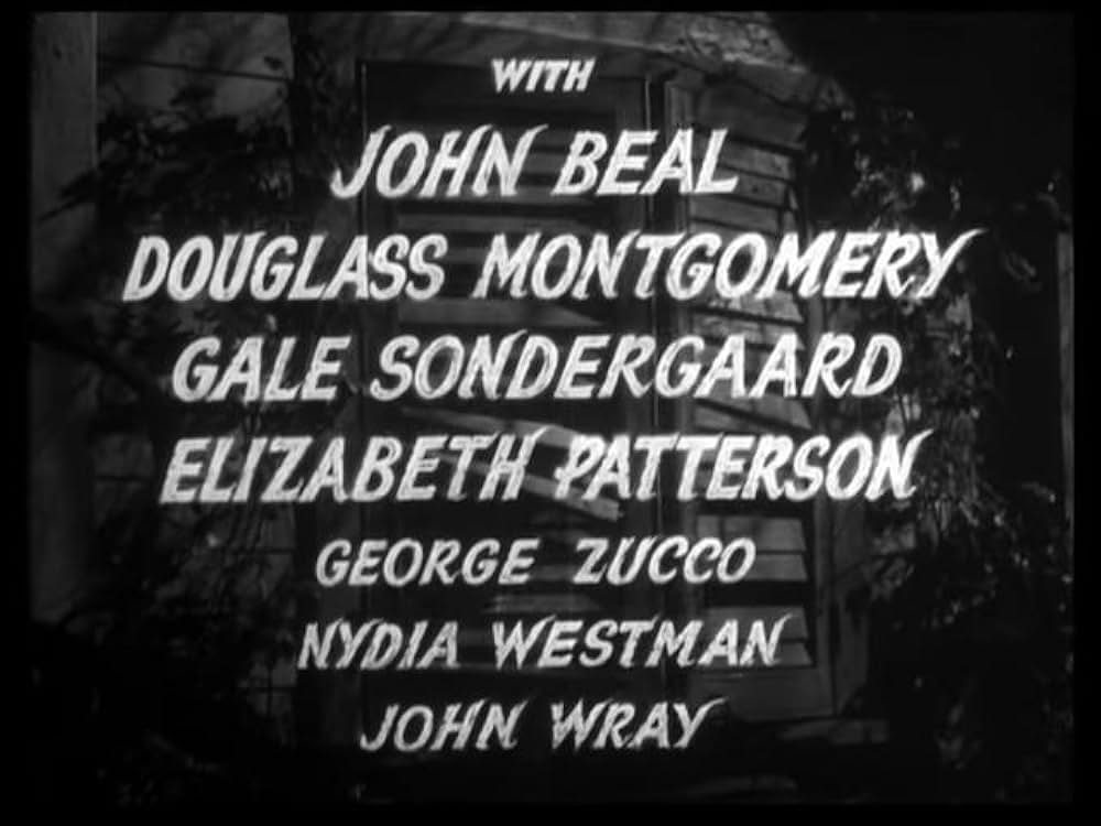 猫とカナリヤの画像