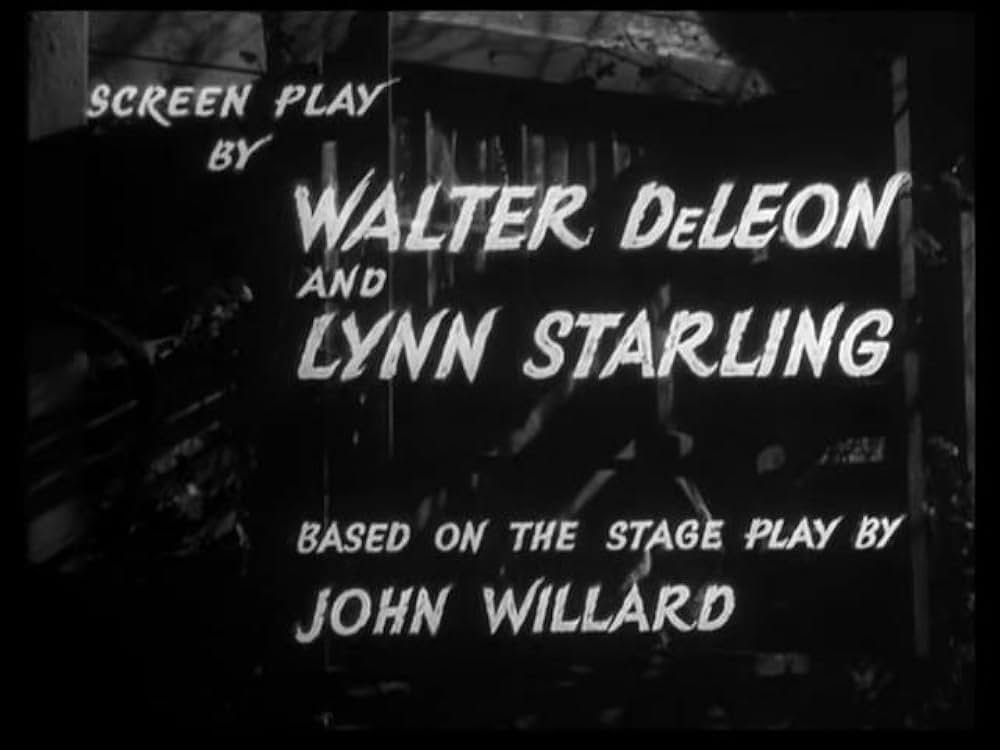 猫とカナリヤの画像