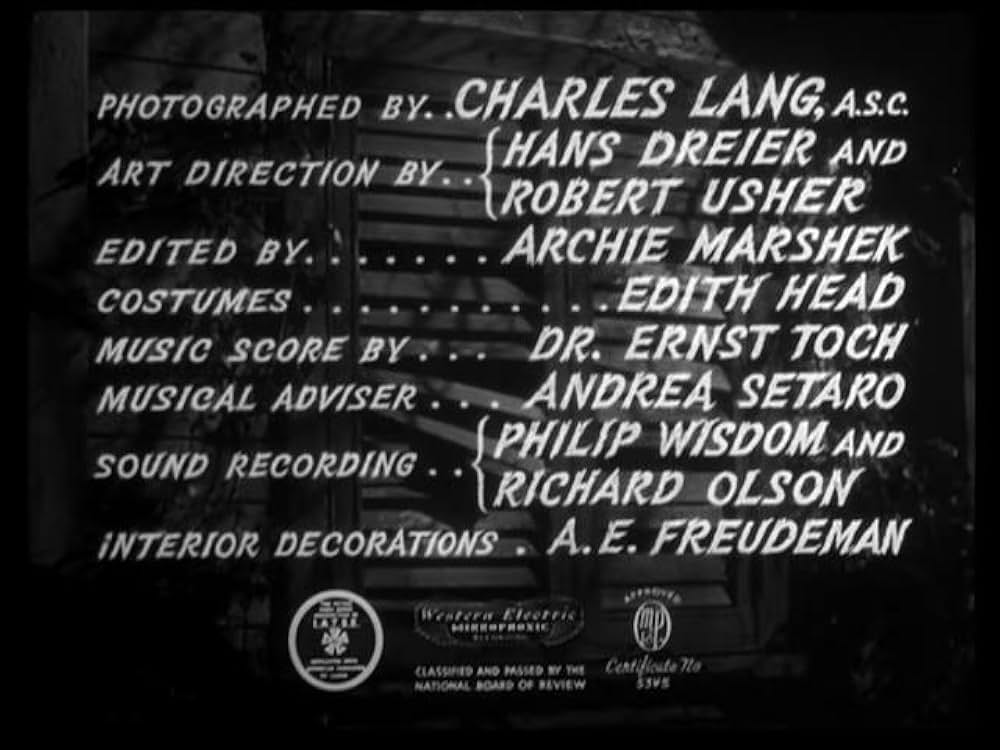 猫とカナリヤの画像