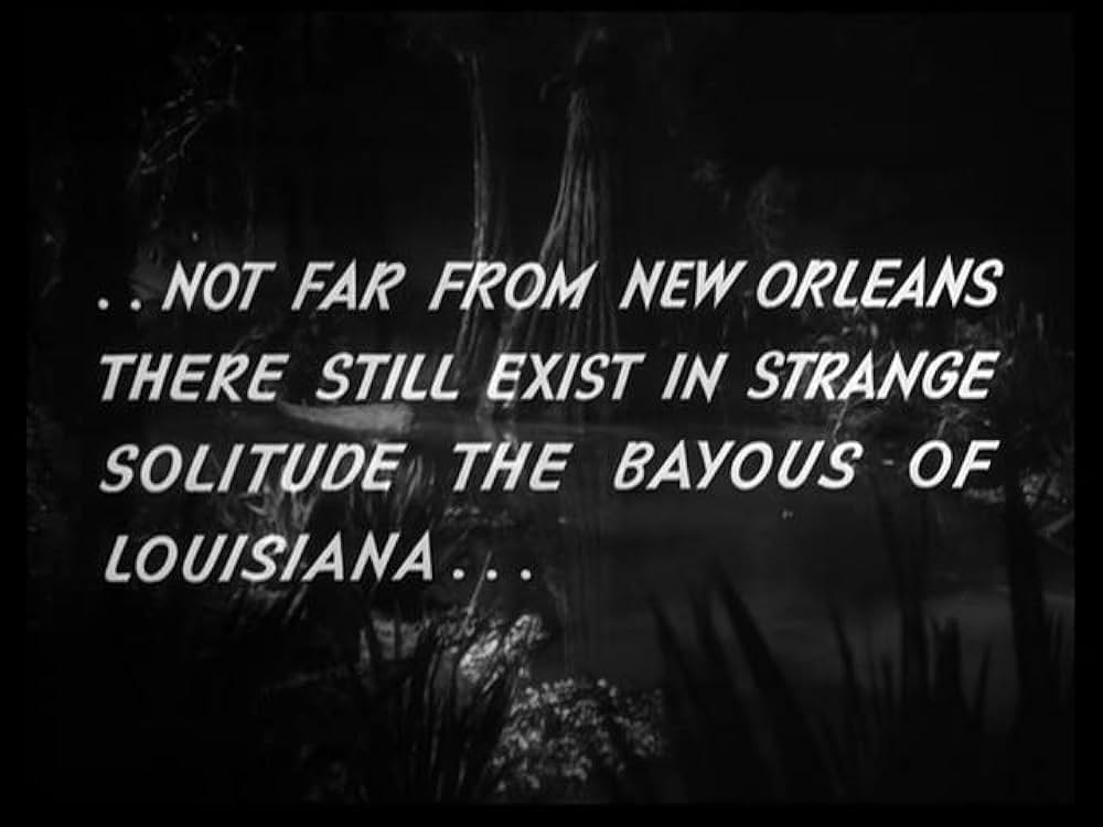 猫とカナリヤの画像