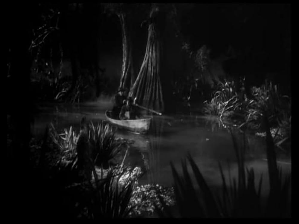 猫とカナリヤの画像