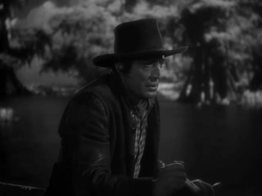 猫とカナリヤの画像