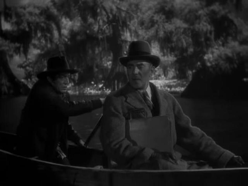 猫とカナリヤの画像