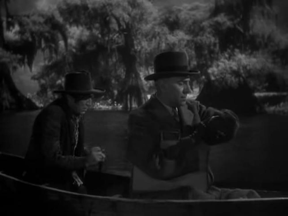 猫とカナリヤの画像