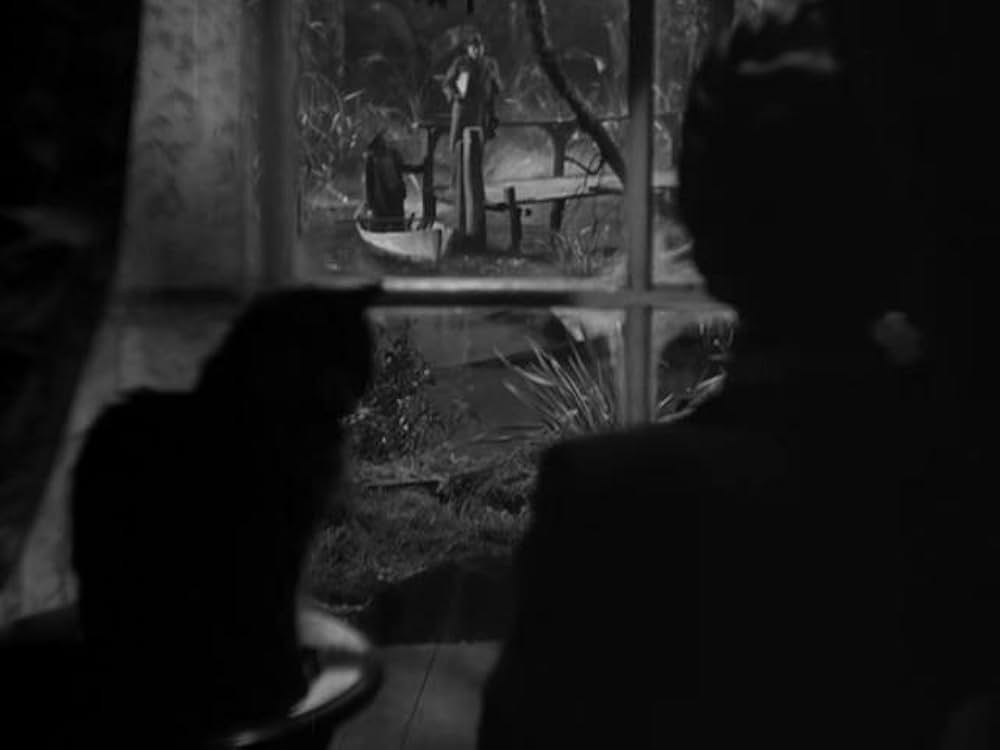 猫とカナリヤの画像