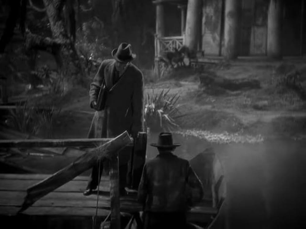 猫とカナリヤの画像