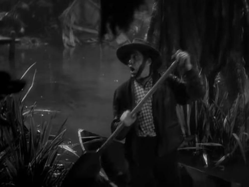 猫とカナリヤの画像