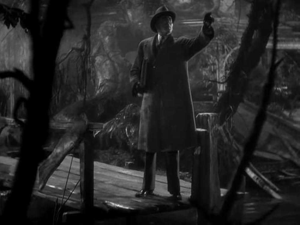 猫とカナリヤの画像