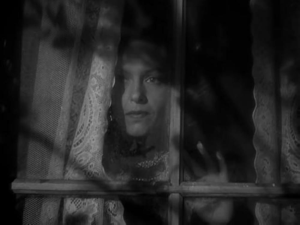 猫とカナリヤの画像