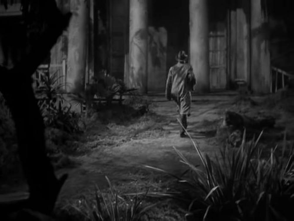 猫とカナリヤの画像