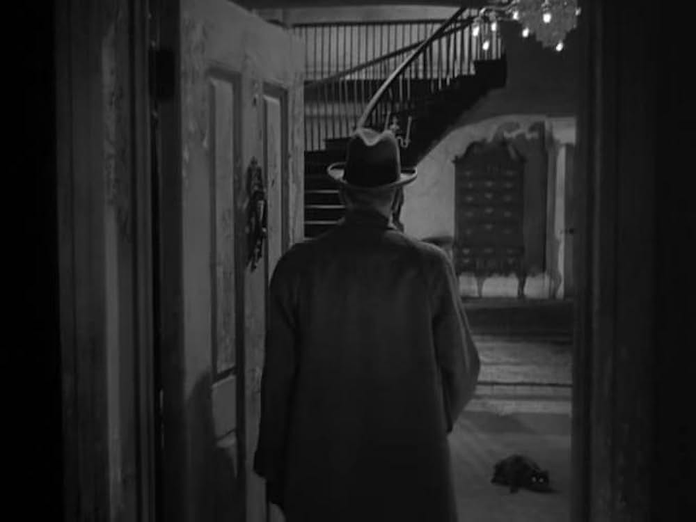 猫とカナリヤの画像