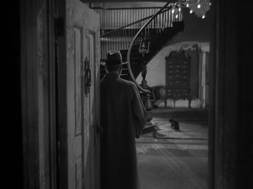 猫とカナリヤの画像