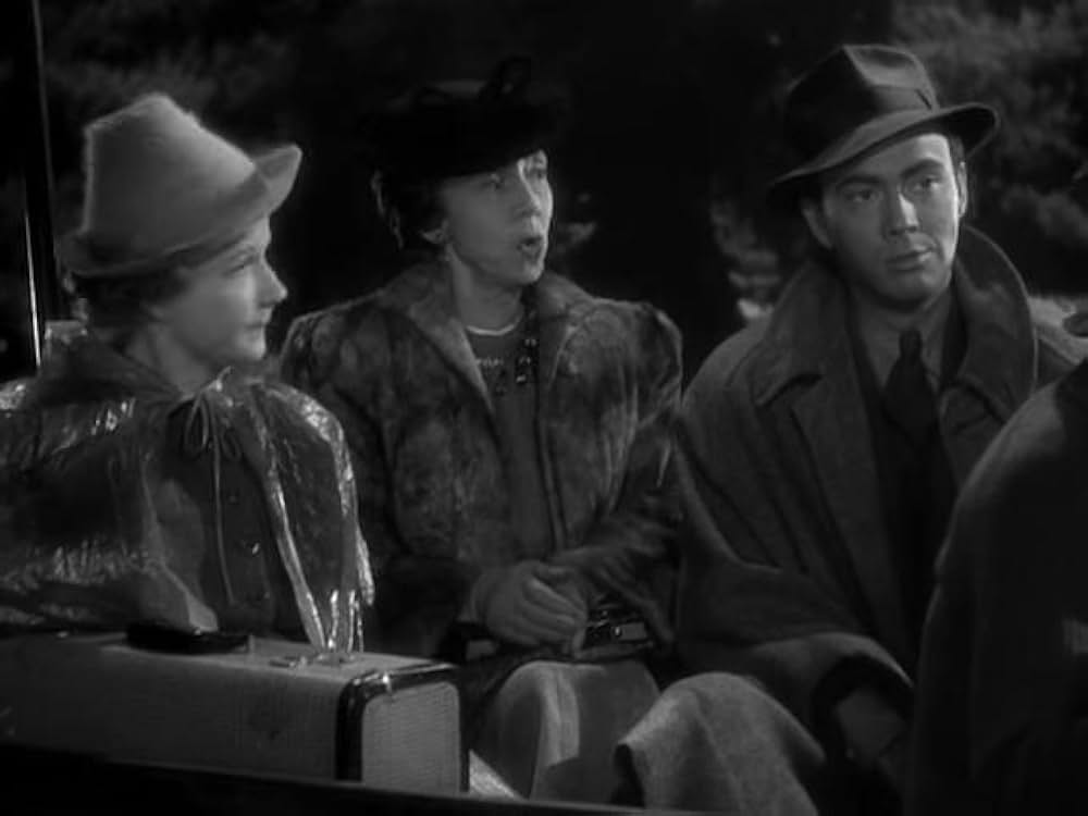 猫とカナリヤの画像