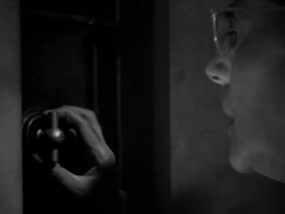 猫とカナリヤの画像