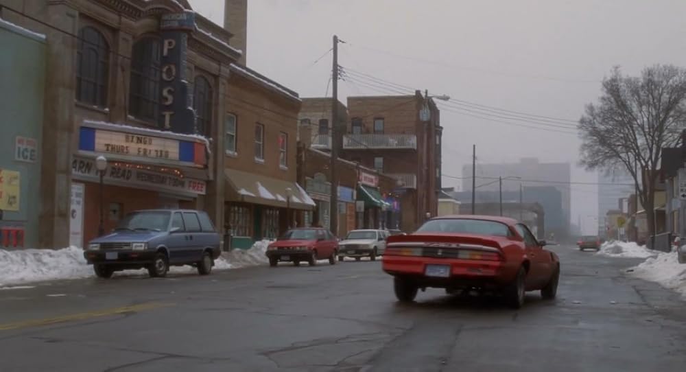 飛べないアヒルの画像