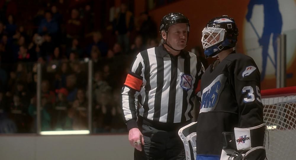 飛べないアヒルの画像