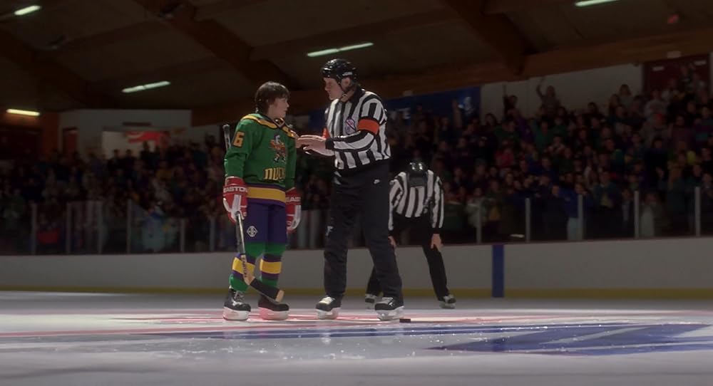 飛べないアヒルの画像