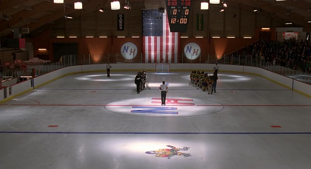 飛べないアヒルの画像