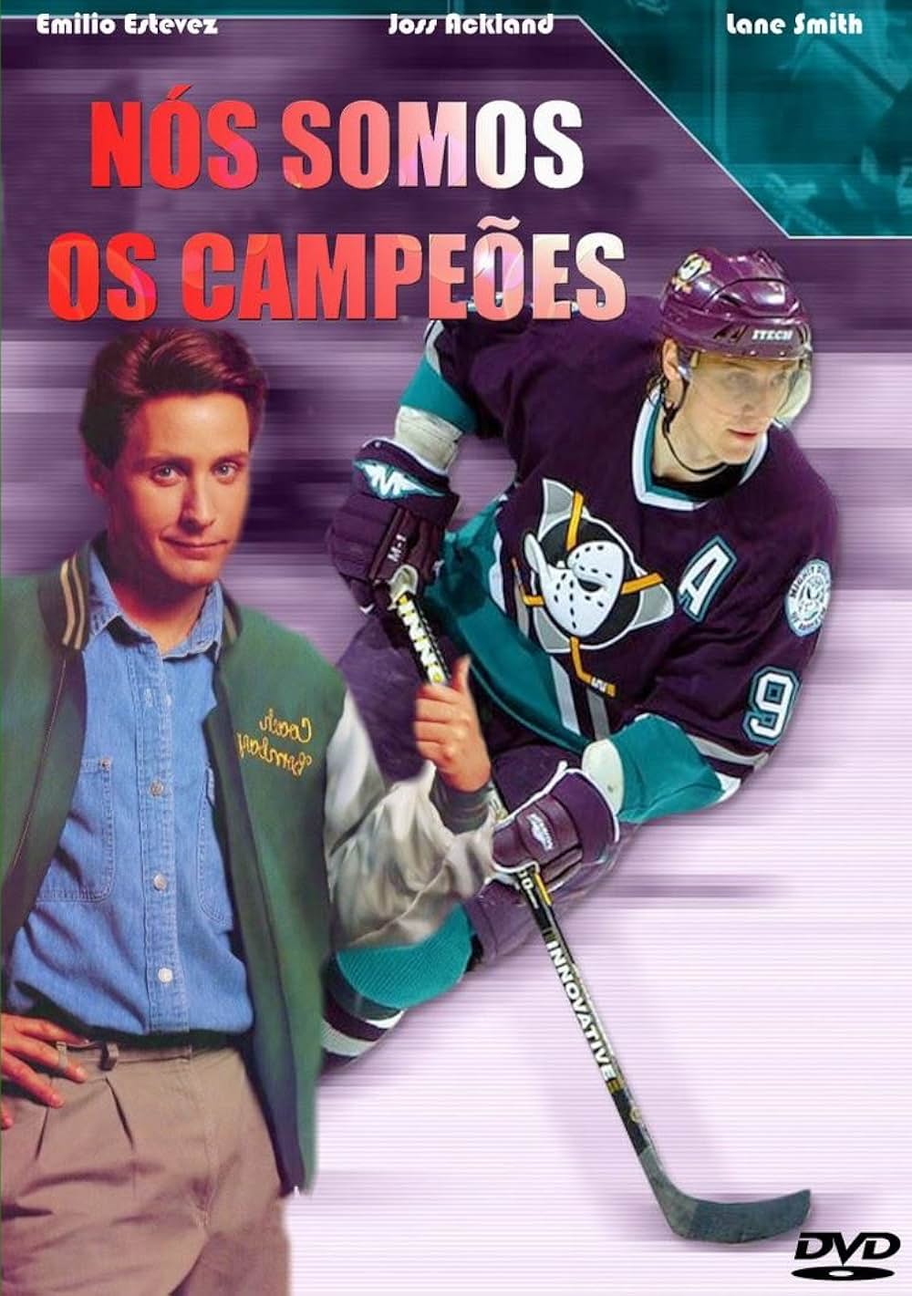 飛べないアヒルの画像