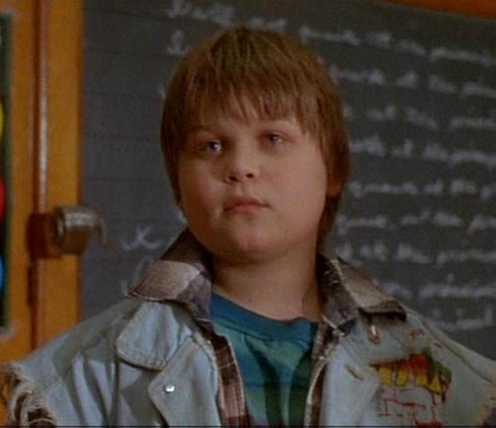 飛べないアヒルの画像