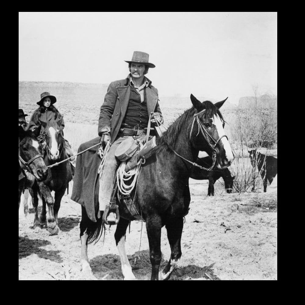 キャット・ダンシングの画像