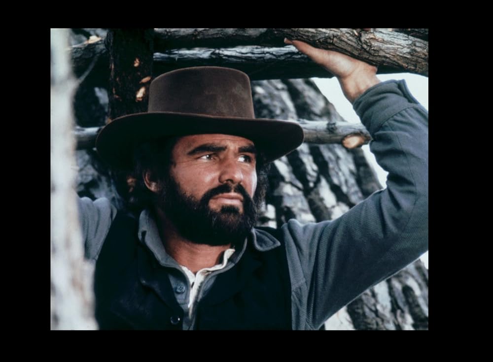 キャット・ダンシングの画像