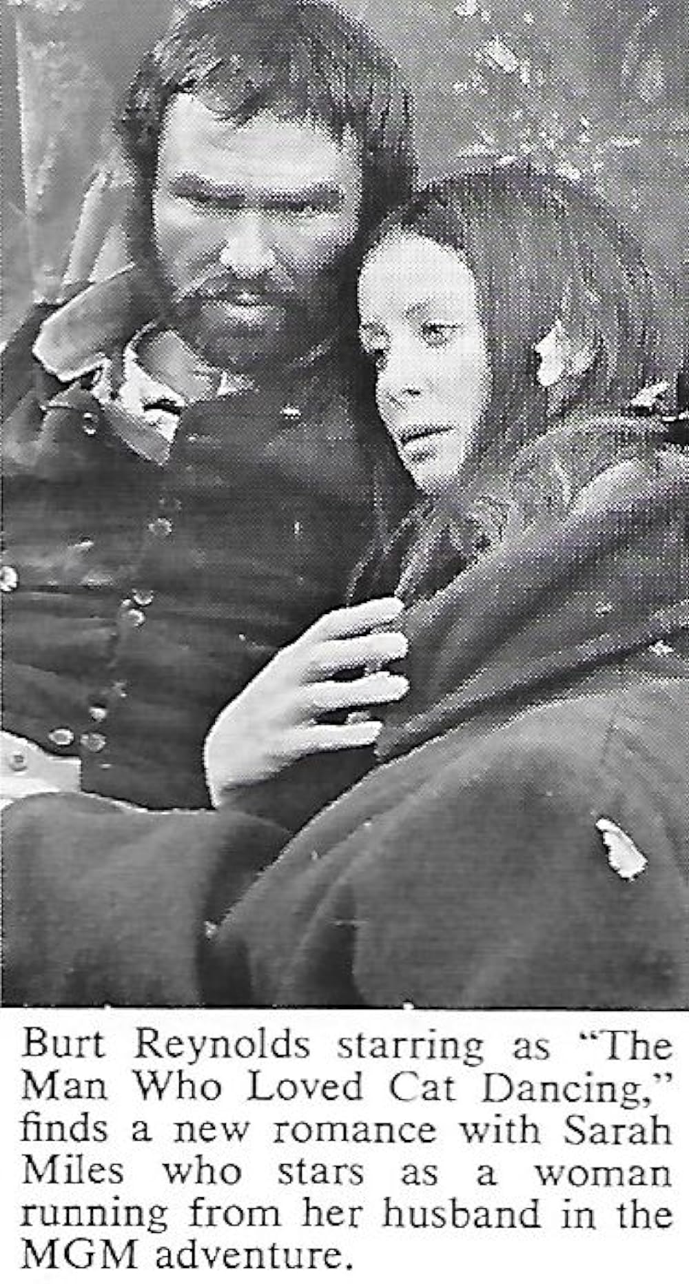 キャット・ダンシングの画像