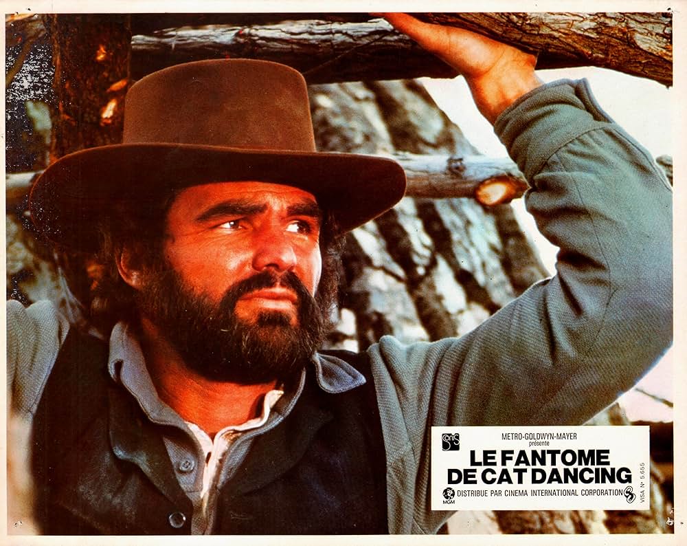 キャット・ダンシングの画像