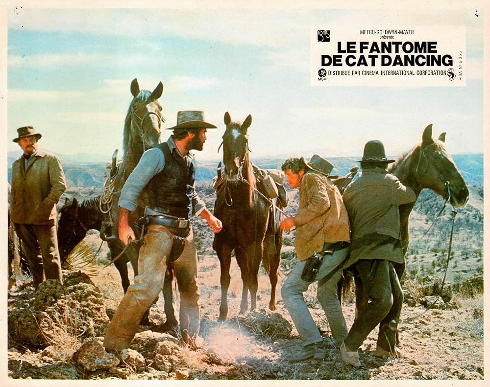 キャット・ダンシングの画像