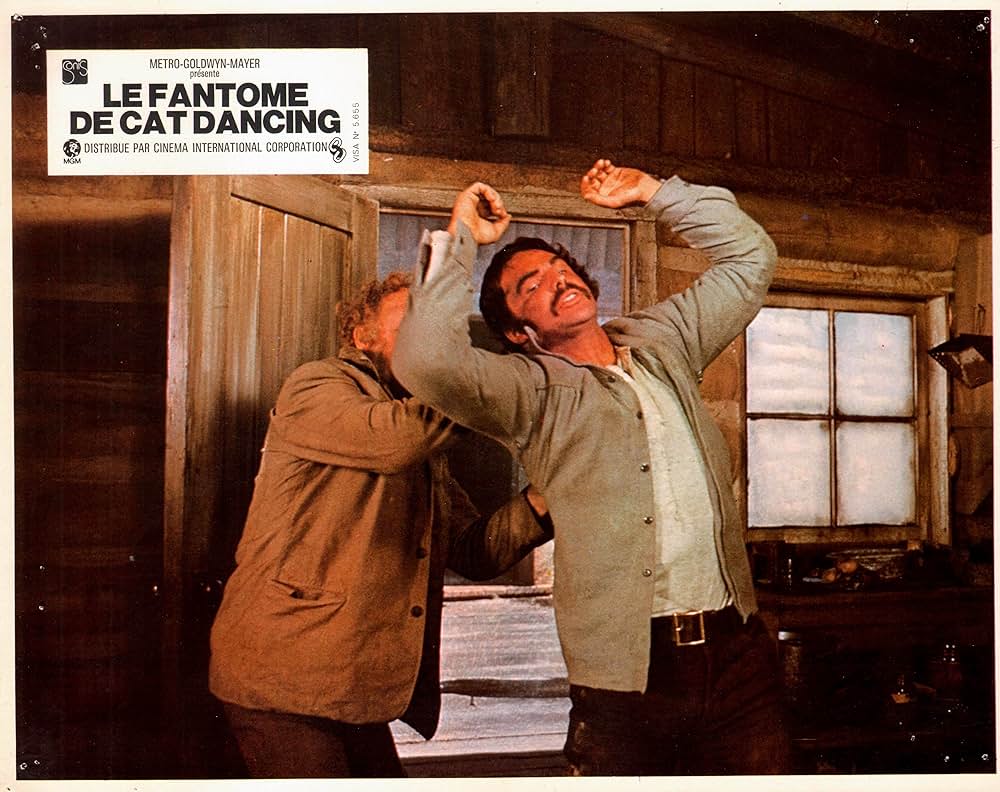 キャット・ダンシングの画像