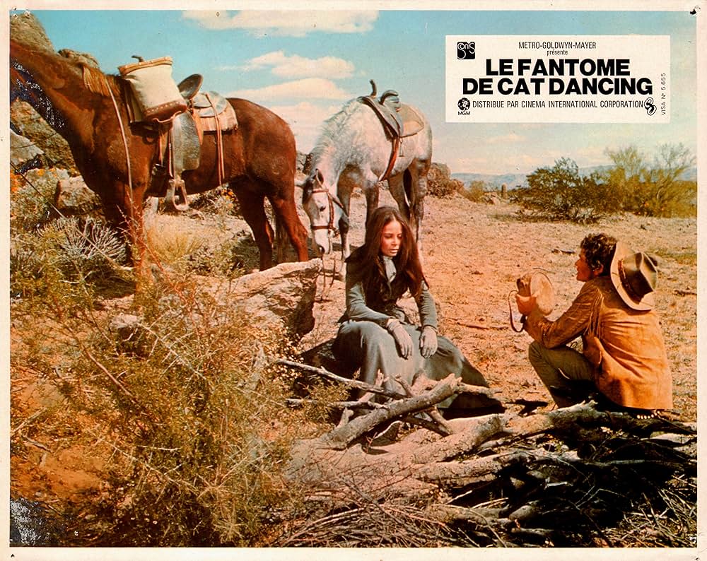 キャット・ダンシングの画像