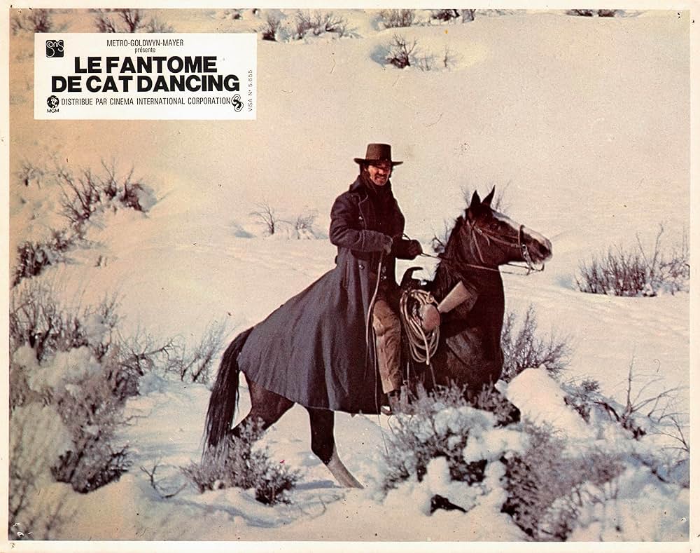 キャット・ダンシングの画像