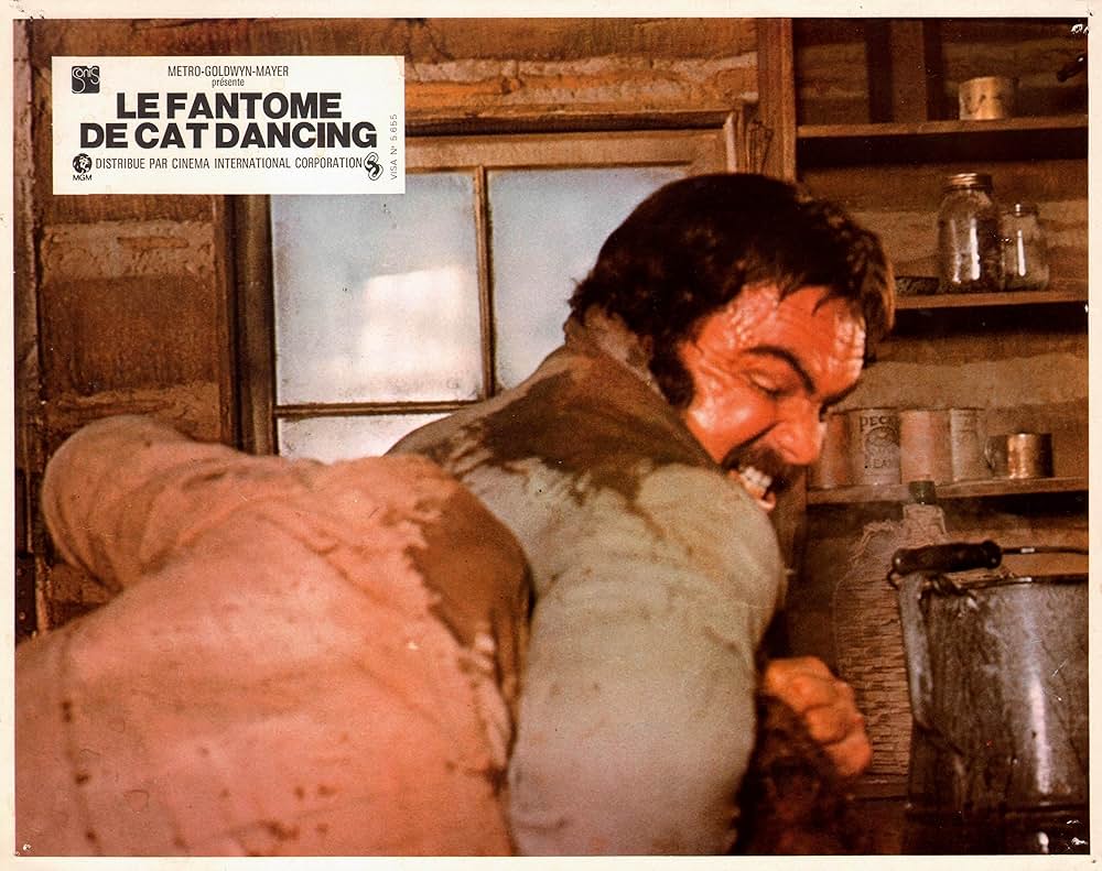 キャット・ダンシングの画像