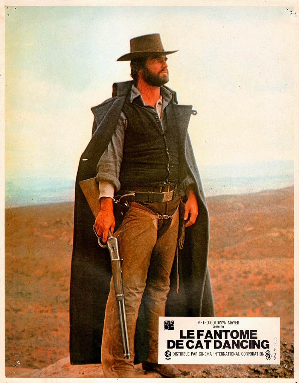 キャット・ダンシングの画像