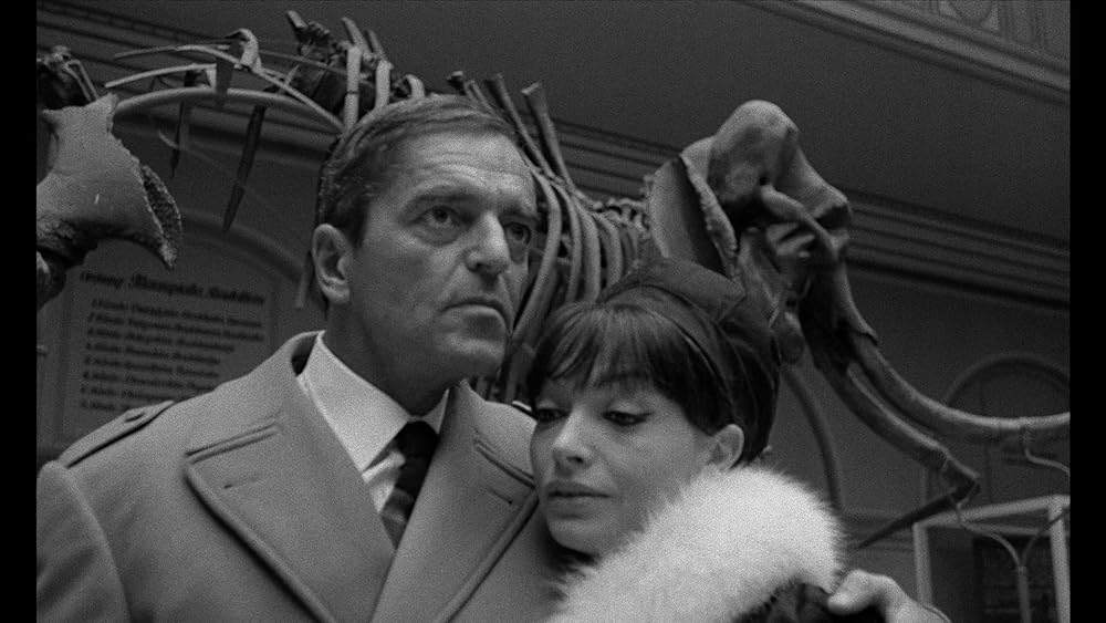 L'inconnu de Shandigor（原題）の画像