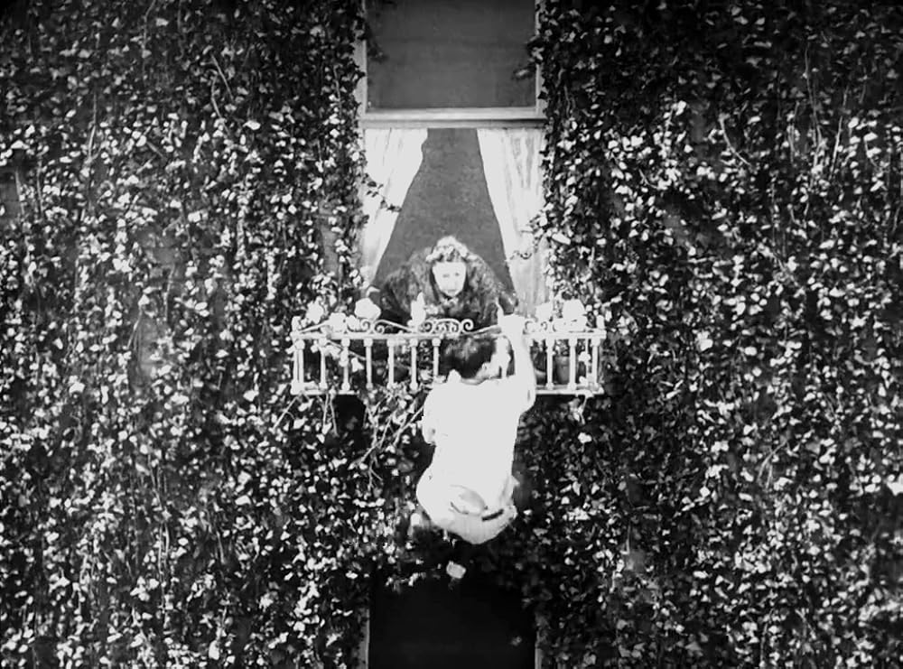 「キートンの大学生／キートンのカレッジ・ライフ」バスター・キートンの画像