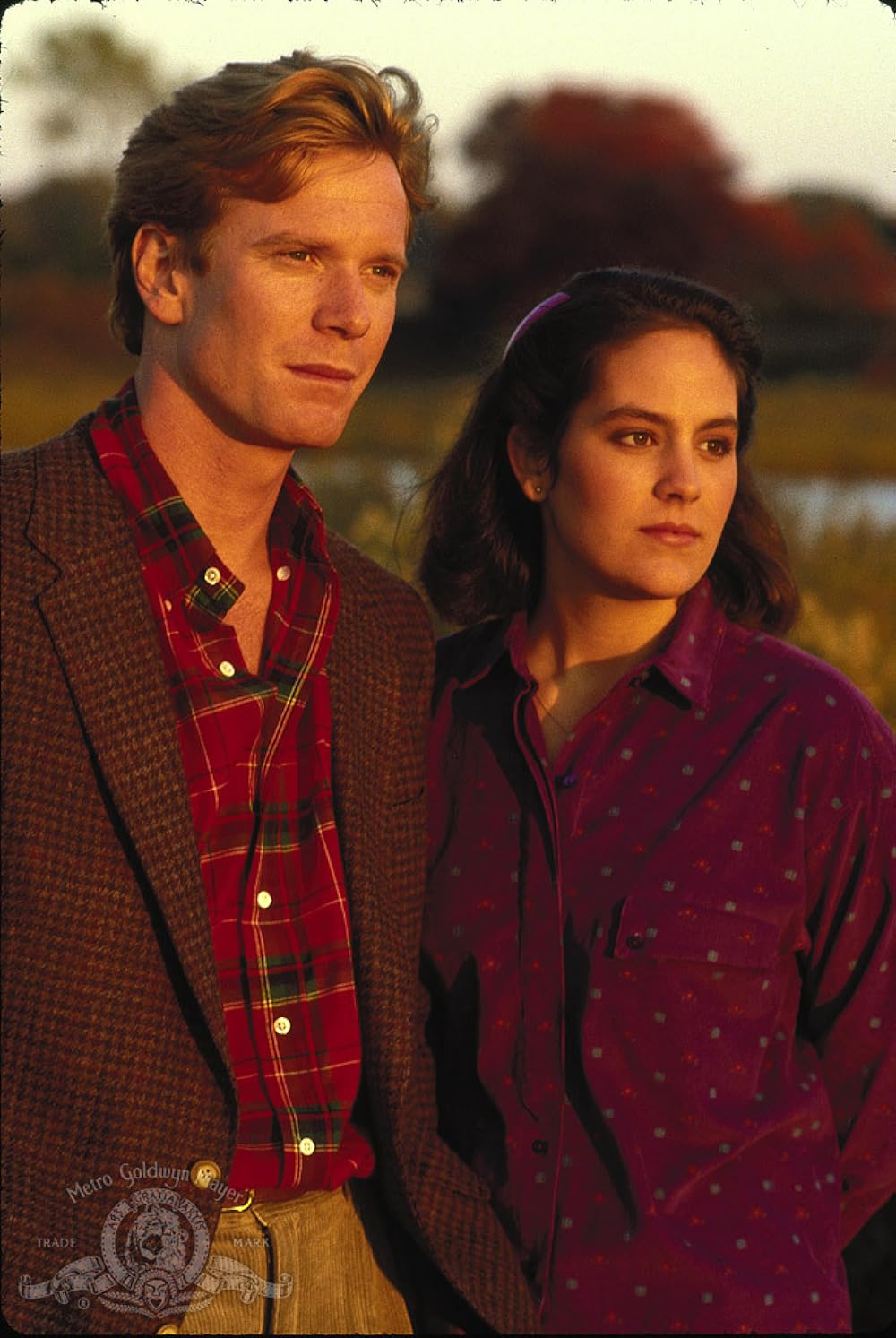 ミスティック・ピザの画像