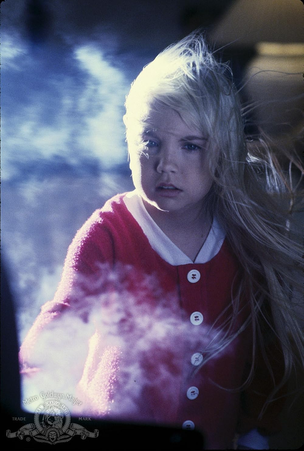 ポルターガイスト3／少女の霊に捧ぐ…の画像