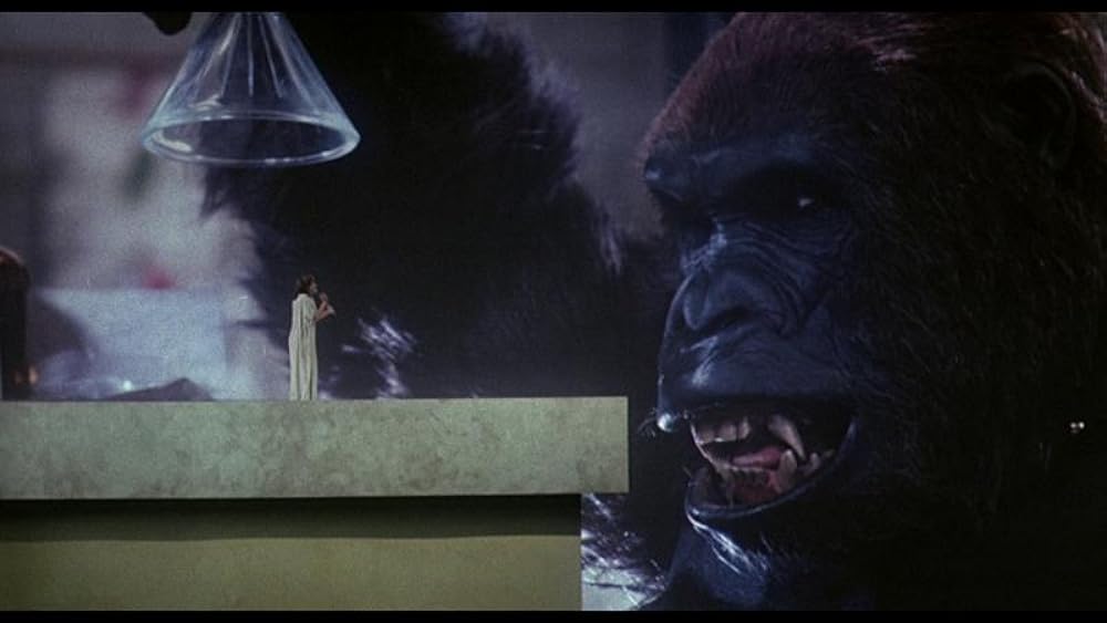 縮みゆく女の画像