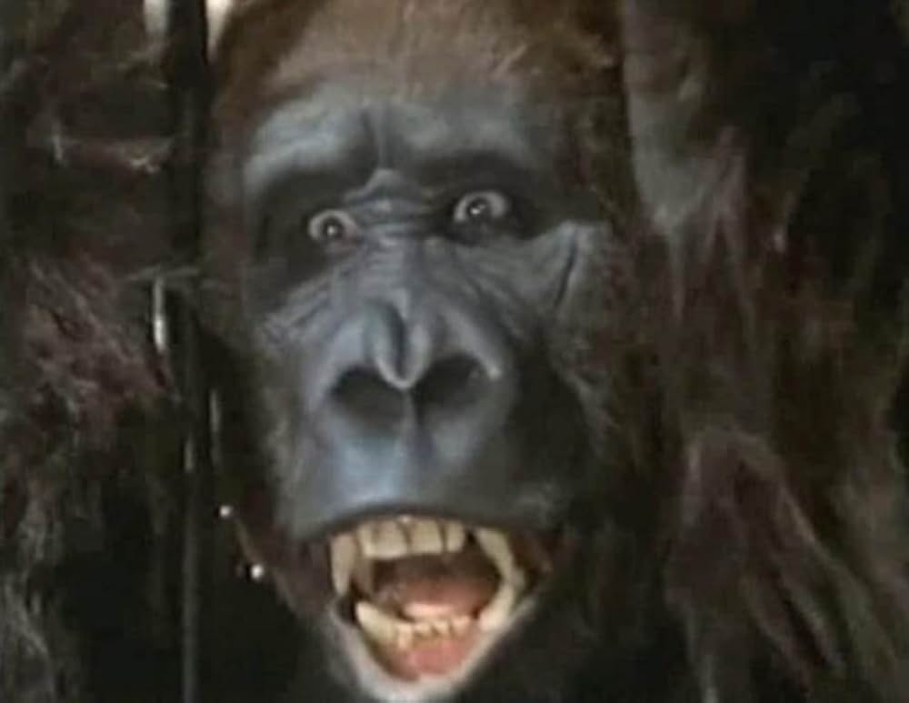 縮みゆく女の画像