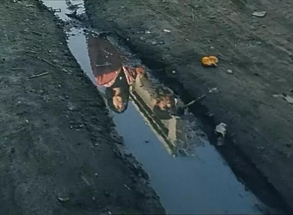 一瞬の夢の画像