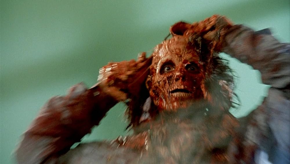 ネクロノミカンの画像