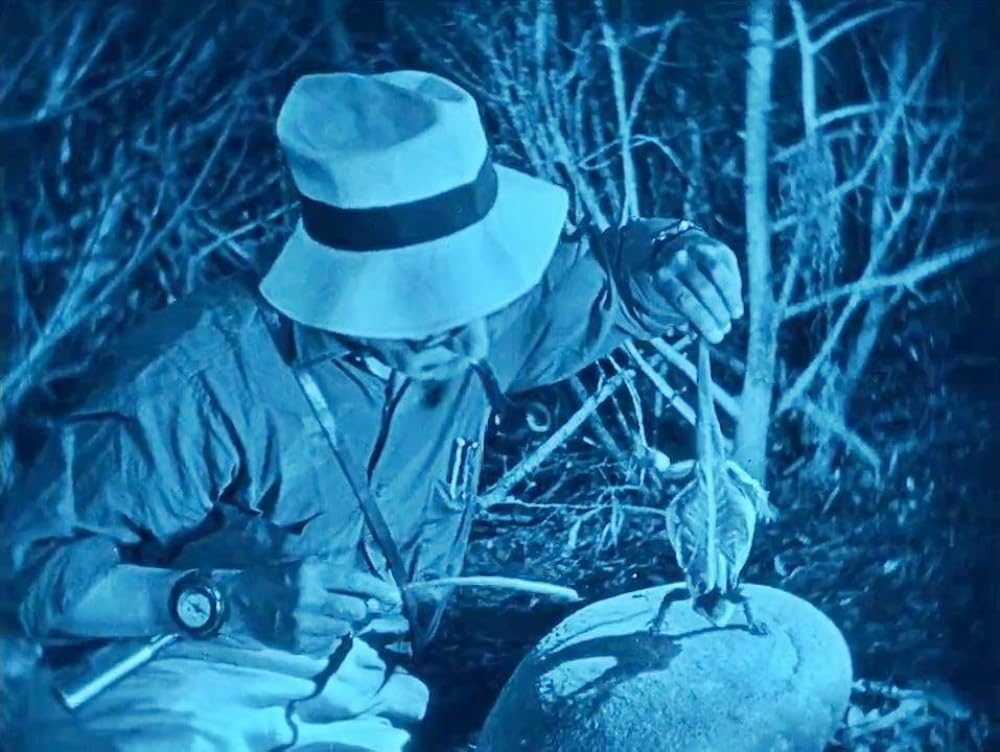 ロスト・ワールドの画像