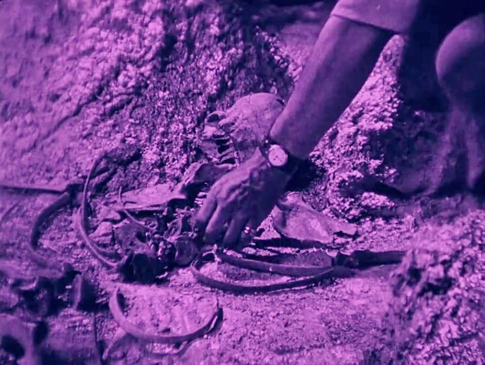 ロスト・ワールドの画像