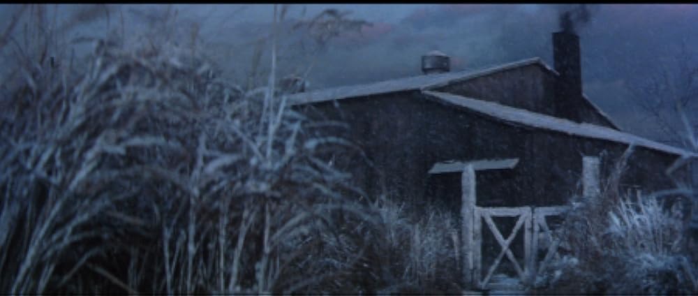 盲獣 解説・レビュー・評価 映画ポップコーン
