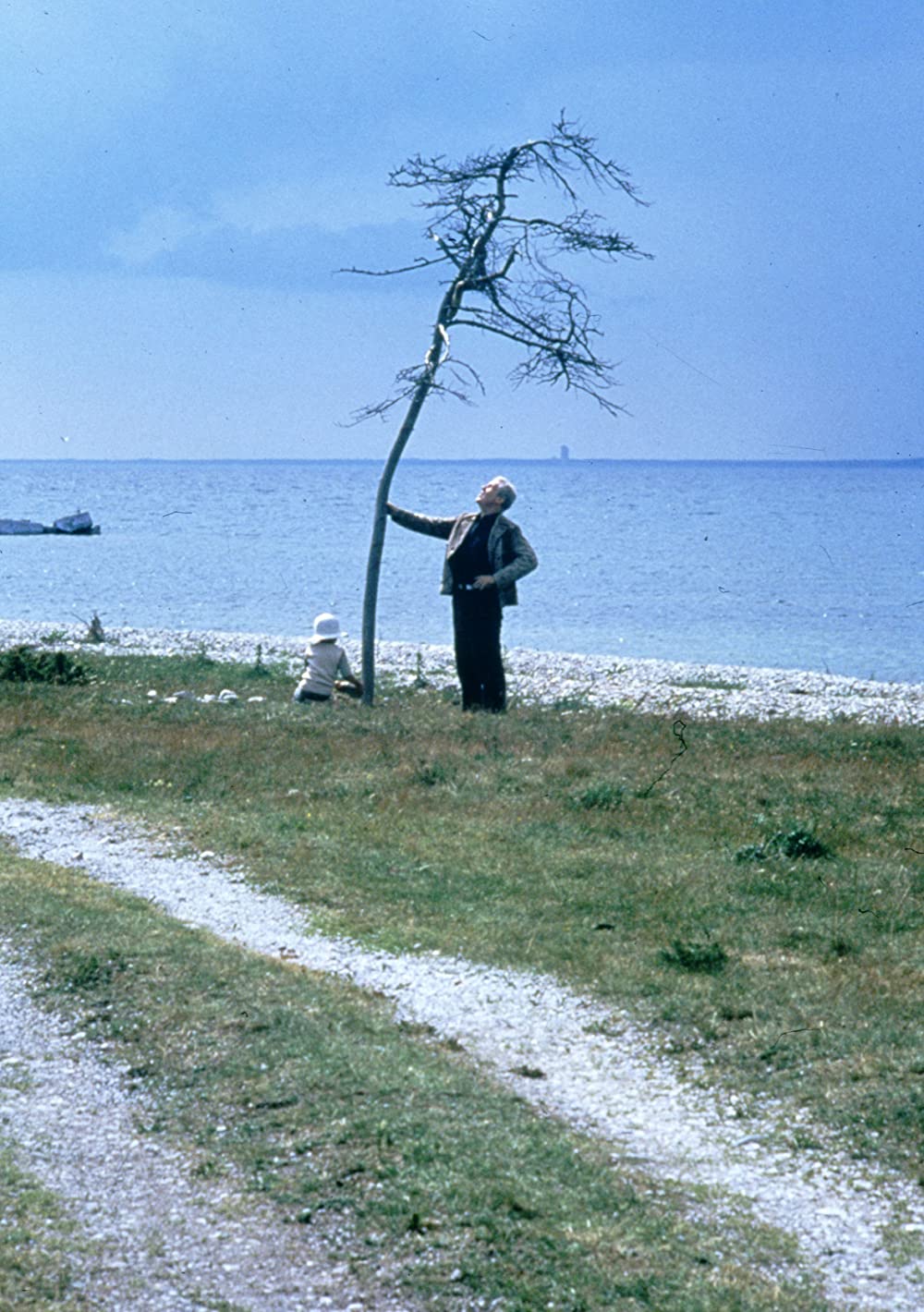 サクリファイスの画像