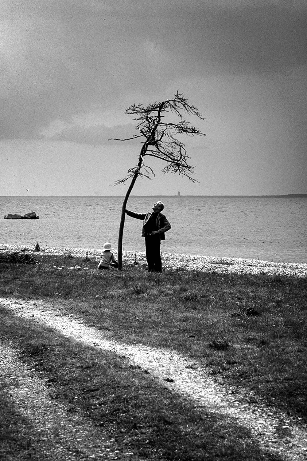 サクリファイスの画像