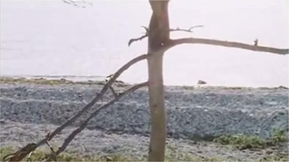 サクリファイスの画像