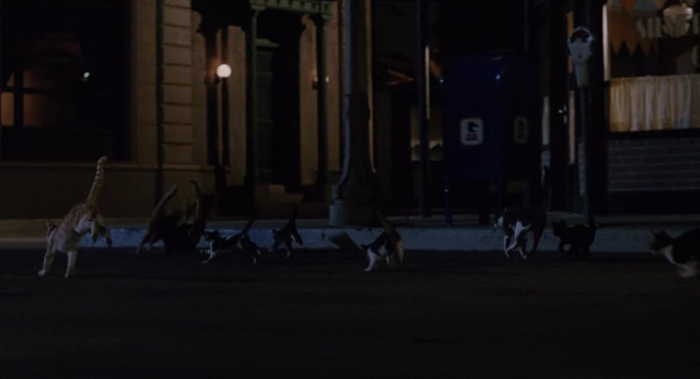 スリープウォーカーズの画像