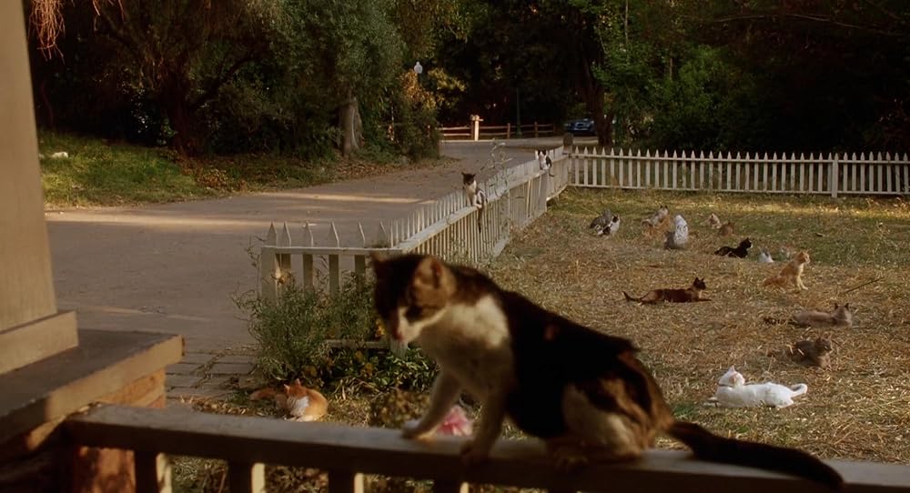 スリープウォーカーズの画像